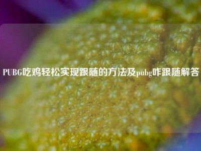 PUBG吃鸡轻松实现跟随的方法及pubg咋跟随解答