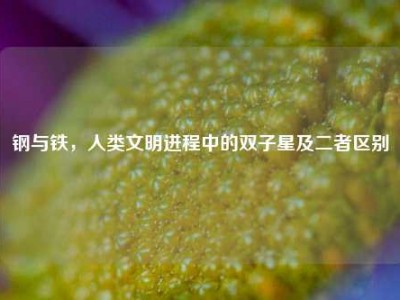 钢与铁，人类文明进程中的双子星及二者区别