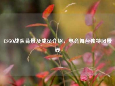 CSGO战队背景及成员介绍，电竞舞台独特风景线