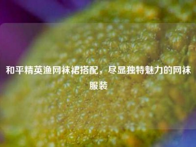 和平精英渔网袜裙搭配，尽显独特魅力的网袜服装