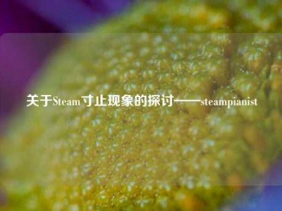 关于Steam寸止现象的探讨——steampianist