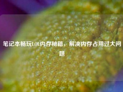 笔记本畅玩LOL内存秘籍，解决内存占用过大问题
