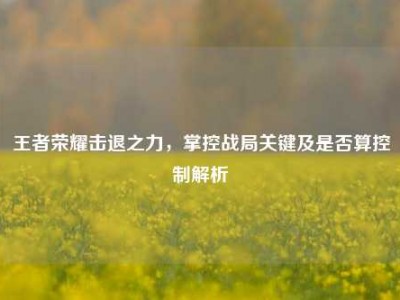 王者荣耀击退之力，掌控战局关键及是否算控制解析
