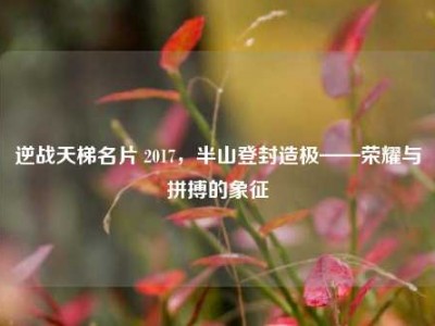 逆战天梯名片 2017，半山登封造极——荣耀与拼搏的象征
