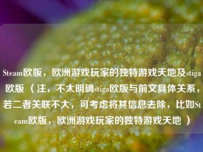 Steam欧版，欧洲游戏玩家的独特游戏天地及stiga欧版 （注，不太明确stiga欧版与前文具体关系，若二者关联不大，可考虑将其信息去除，比如Steam欧版，欧洲游戏玩家的独特游戏天地 ）
