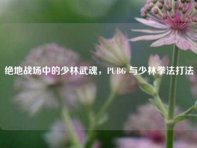 绝地战场中的少林武魂，PUBG 与少林拳法打法
