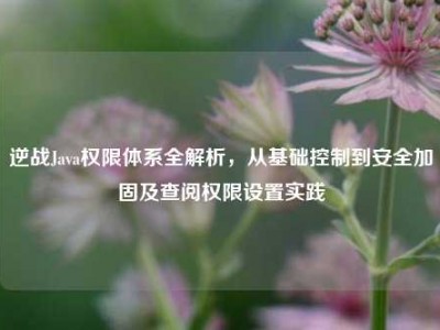 逆战Java权限体系全解析，从基础控制到安全加固及查阅权限设置实践