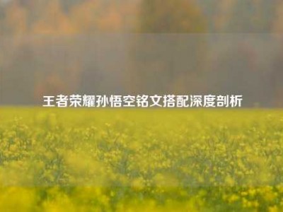 王者荣耀孙悟空铭文搭配深度剖析