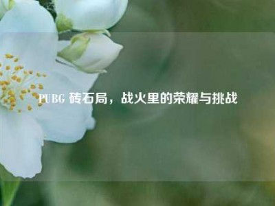 PUBG 砖石局，战火里的荣耀与挑战