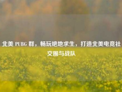 北美 PUBG 群，畅玩绝地求生，打造北美电竞社交圈与战队