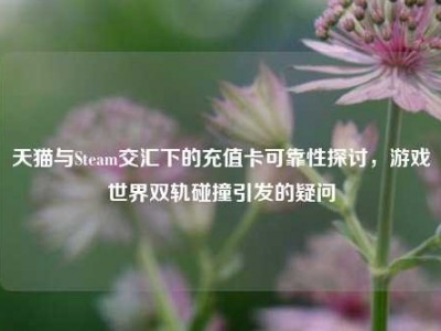 天猫与Steam交汇下的充值卡可靠性探讨，游戏世界双轨碰撞引发的疑问