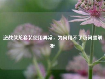逆战伏龙套装使用异常，为何用不了及问题解析