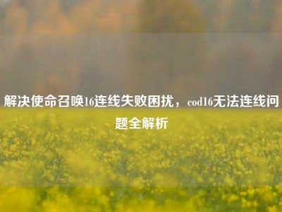 解决使命召唤16连线失败困扰，cod16无法连线问题全解析