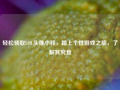 轻松领取LOL头像小样，踏上个性游戏之旅，了解其究竟