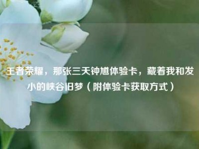 王者荣耀，那张三天钟馗体验卡，藏着我和发小的峡谷旧梦（附体验卡获取方式）