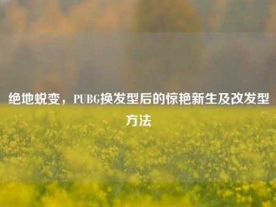 绝地蜕变，PUBG换发型后的惊艳新生及改发型方法
