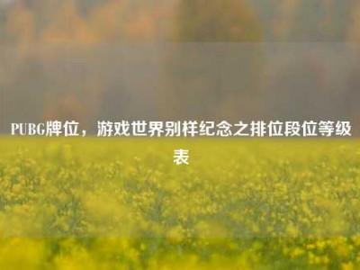 PUBG牌位，游戏世界别样纪念之排位段位等级表