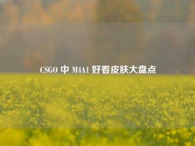 CSGO 中 M4A1 好看皮肤大盘点