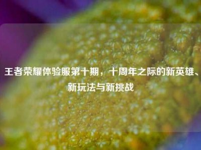 王者荣耀体验服第十期，十周年之际的新英雄、新玩法与新挑战