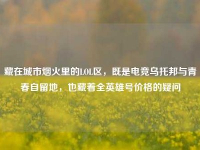 藏在城市烟火里的LOL区，既是电竞乌托邦与青春自留地，也藏着全英雄号价格的疑问