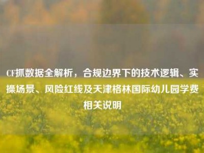 CF抓数据全解析，合规边界下的技术逻辑、实操场景、风险红线及天津格林国际幼儿园学费相关说明