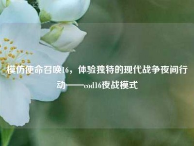 模仿使命召唤16，体验独特的现代战争夜间行动——cod16夜战模式