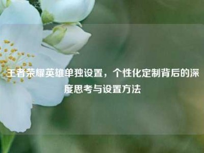王者荣耀英雄单独设置，个性化定制背后的深度思考与设置方法