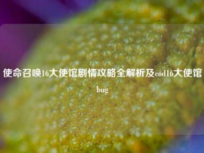 使命召唤16大使馆剧情攻略全解析及cod16大使馆bug
