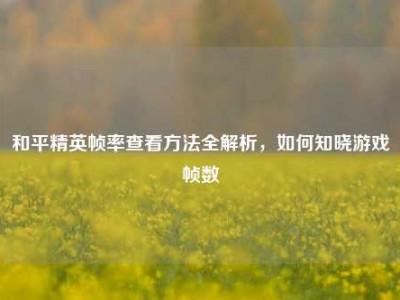 和平精英帧率查看方法全解析，如何知晓游戏帧数