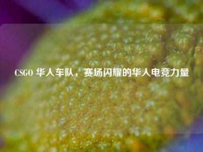 CSGO 华人车队，赛场闪耀的华人电竞力量