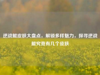 逆战鲲皮肤大盘点，解锁多样魅力，探寻逆战鲲究竟有几个皮肤