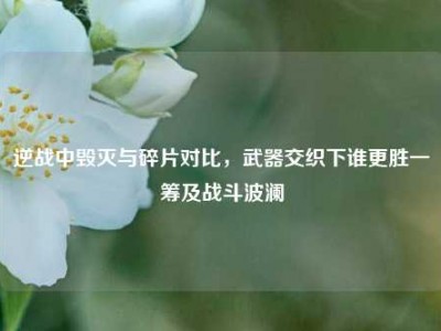逆战中毁灭与碎片对比，武器交织下谁更胜一筹及战斗波澜