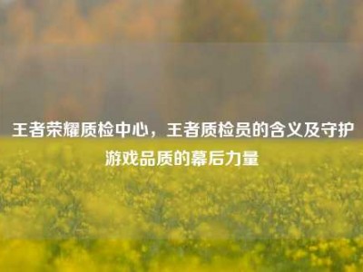 王者荣耀质检中心，王者质检员的含义及守护游戏品质的幕后力量