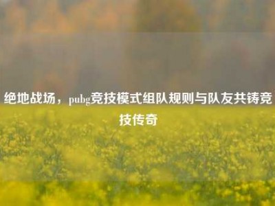 绝地战场，pubg竞技模式组队规则与队友共铸竞技传奇
