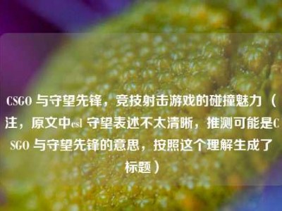 CSGO 与守望先锋，竞技射击游戏的碰撞魅力 （注，原文中csl 守望表述不太清晰，推测可能是CSGO 与守望先锋的意思，按照这个理解生成了标题）