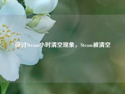 探讨Steam小时清空现象，Steam被清空