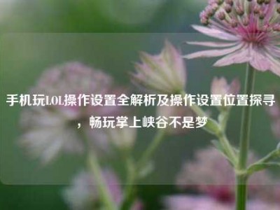 手机玩LOL操作设置全解析及操作设置位置探寻，畅玩掌上峡谷不是梦