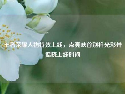 王者荣耀人物特效上线，点亮峡谷别样光彩并揭晓上线时间