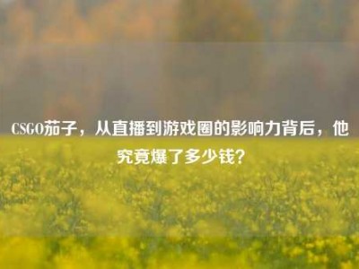 CSGO茄子，从直播到游戏圈的影响力背后，他究竟爆了多少钱？
