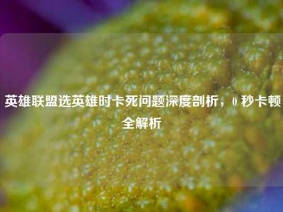 英雄联盟选英雄时卡死问题深度剖析，0 秒卡顿全解析