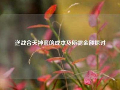 逆战合天神套的成本及所需金额探讨