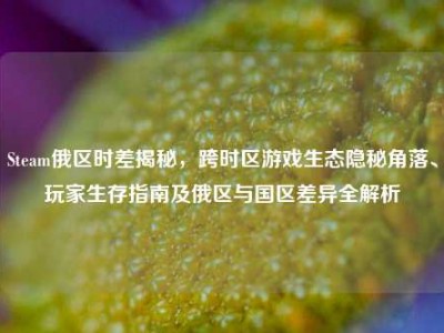 Steam俄区时差揭秘，跨时区游戏生态隐秘角落、玩家生存指南及俄区与国区差异全解析