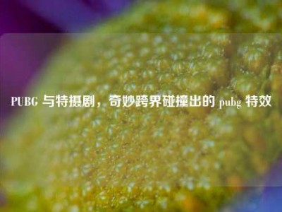 PUBG 与特摄剧，奇妙跨界碰撞出的 pubg 特效