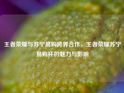 王者荣耀与苏宁易购跨界合作，王者荣耀苏宁易购杯的魅力与影响