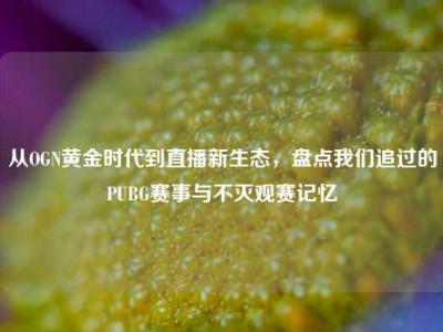 从OGN黄金时代到直播新生态，盘点我们追过的PUBG赛事与不灭观赛记忆