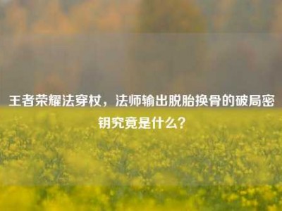 王者荣耀法穿杖，法师输出脱胎换骨的破局密钥究竟是什么？