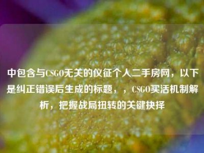中包含与CSGO无关的仪征个人二手房网，以下是纠正错误后生成的标题，，CSGO买活机制解析，把握战局扭转的关键抉择