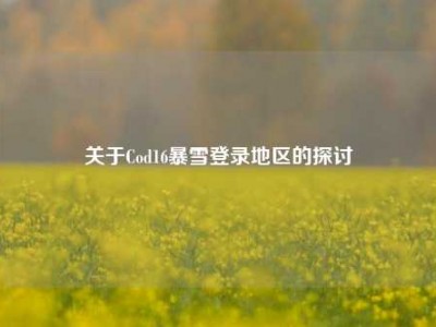关于Cod16暴雪登录地区的探讨