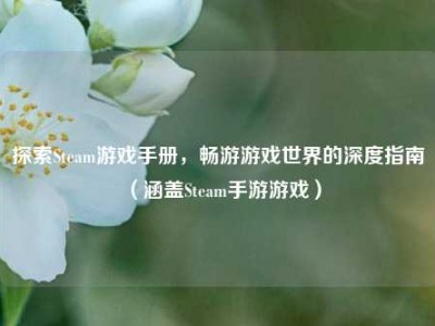 探索Steam游戏手册，畅游游戏世界的深度指南（涵盖Steam手游游戏）