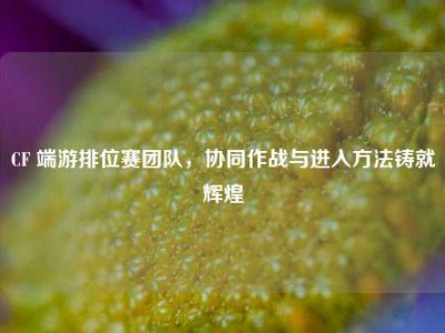 CF 端游排位赛团队，协同作战与进入方法铸就辉煌
